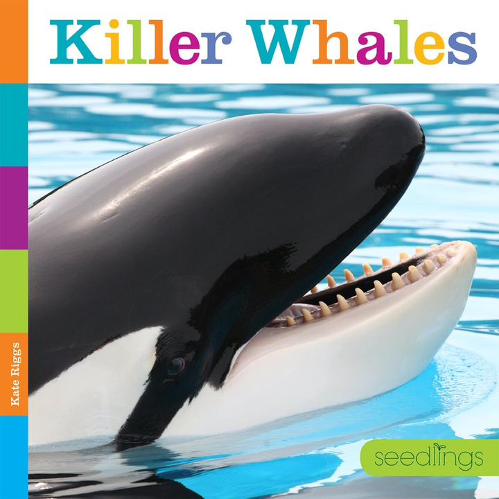 Seedlings Series Hardcover Seedlings: Killer Whales