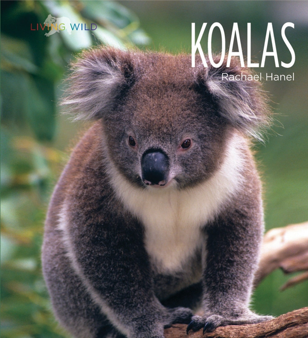 Living Wild Series Hardcover Living Wild: Koalas