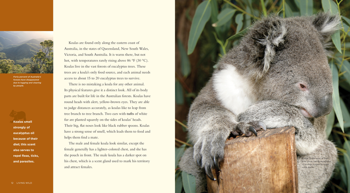 Living Wild Series Hardcover Living Wild: Koalas - 2