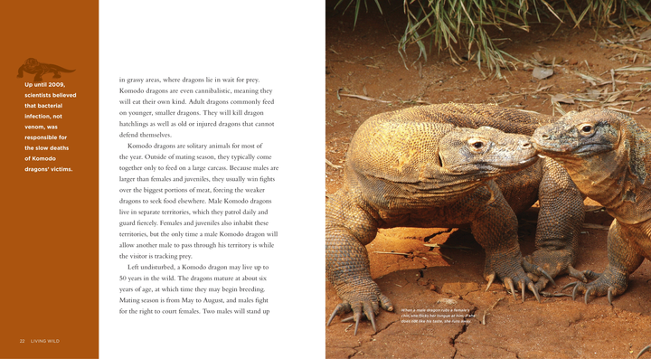 Living Wild Series Paperback Living Wild: Komodo Dragons - 3