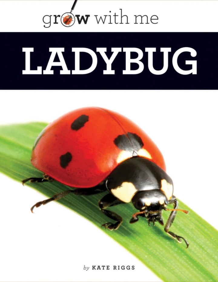 Grow with Me Series Hardcover Grow with Me: Ladybug