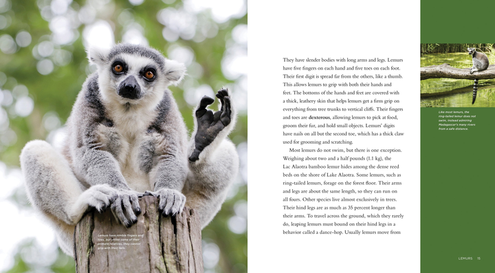 Living Wild Series Hardcover Living Wild: Lemurs - 2