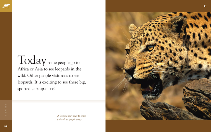 Amazing Animals - Classic Edition Series Hardcover Amazing Animals - Classic Edition: Leopards - 3