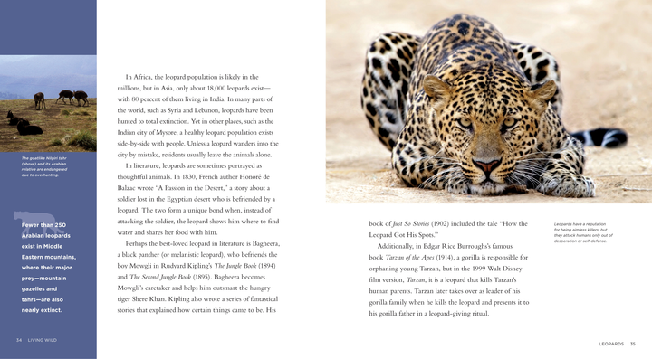 Living Wild Series Hardcover Living Wild: Leopards - 3