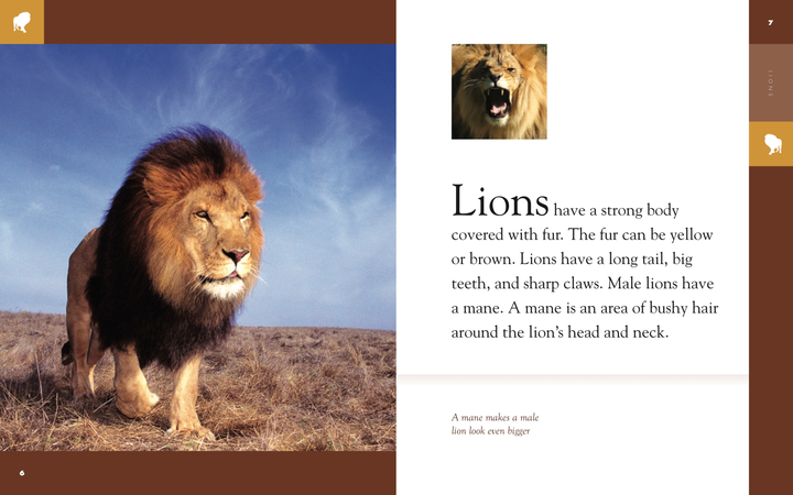 Amazing Animals - Classic Edition Series Hardcover Amazing Animals - Classic Edition: Lion - 3