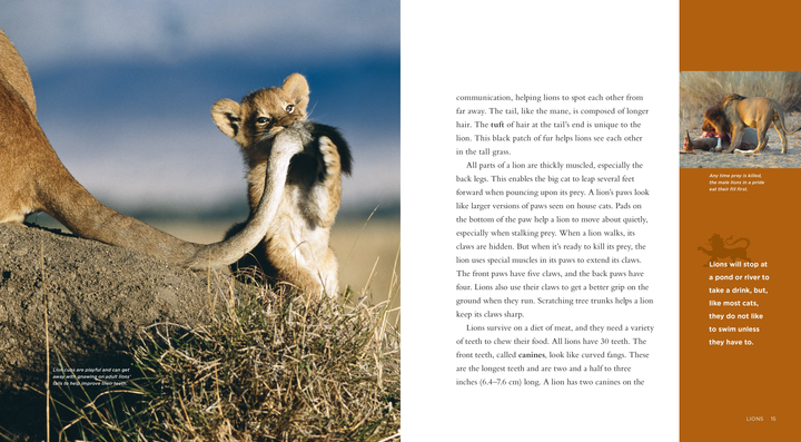 Living Wild Series Hardcover Living Wild: Lions - 2