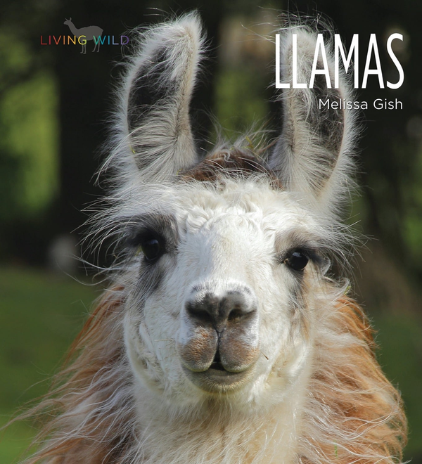 Living Wild Series Hardcover Living Wild: Llamas