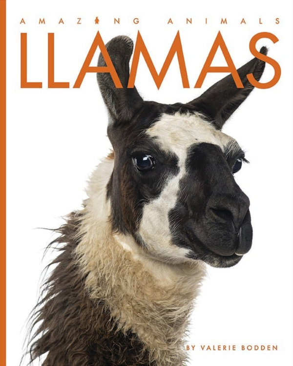 Amazing Animals - Classic Edition Series Hardcover Amazing Animals - Classic Edition: Llamas