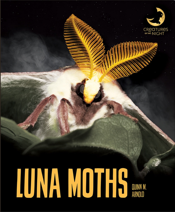 Creatures of the Night Series Hardcover Creatures of the Night: Luna Moths