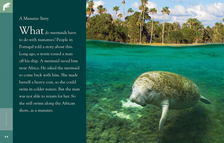 Amazing Animals - Classic Edition Series Hardcover Amazing Animals - Classic Edition: Manatees - 3