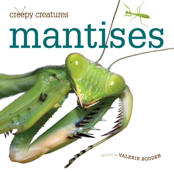 Creepy Creatures Series Hardcover Creepy Creatures: Mantises