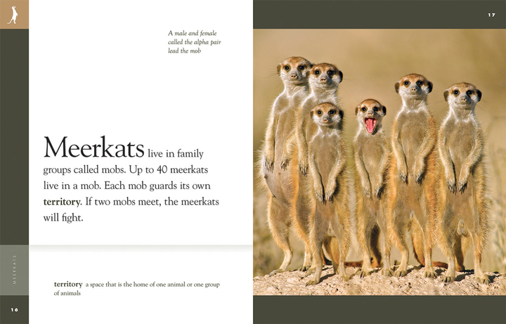 Amazing Animals - Classic Edition Series Hardcover Amazing Animals - Classic Edition: Meerkats - 2