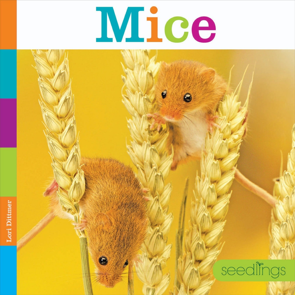 Seedlings Series Hardcover Seedlings: Mice