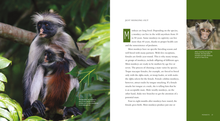 Living Wild Series Hardcover Living Wild: Monkeys - 2