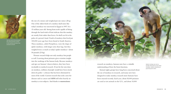 Living Wild Series Hardcover Living Wild: Monkeys - 3