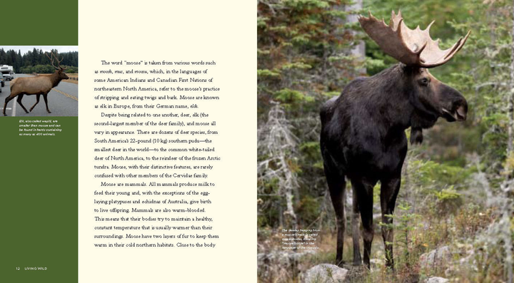 Living Wild Series Hardcover Living Wild: Moose - 3