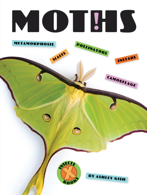 X-Books Series Hardcover X-Books: Insects: Moths