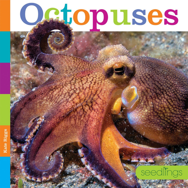 Seedlings Series Hardcover Seedlings: Octopuses