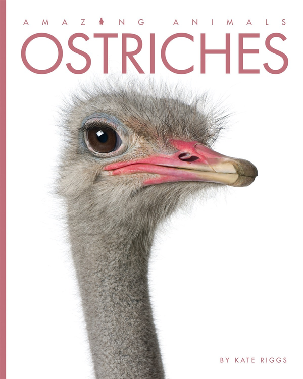 Amazing Animals - Classic Edition Series Hardcover Amazing Animals - Classic Edition: Ostriches