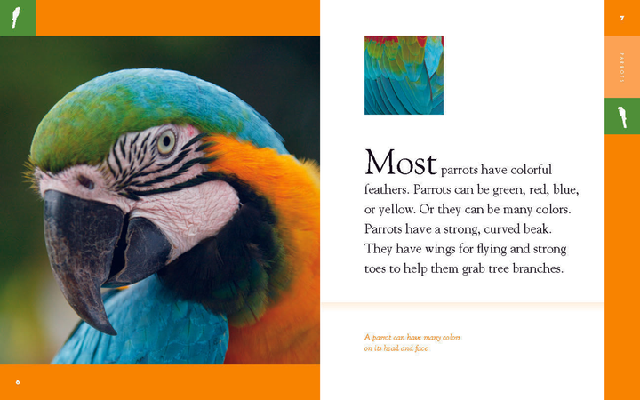 Amazing Animals - Classic Edition Series Hardcover Amazing Animals - Classic Edition: Parrots - 3