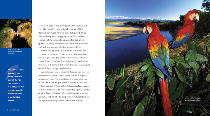 Living Wild Series Hardcover Living Wild: Parrots - 2