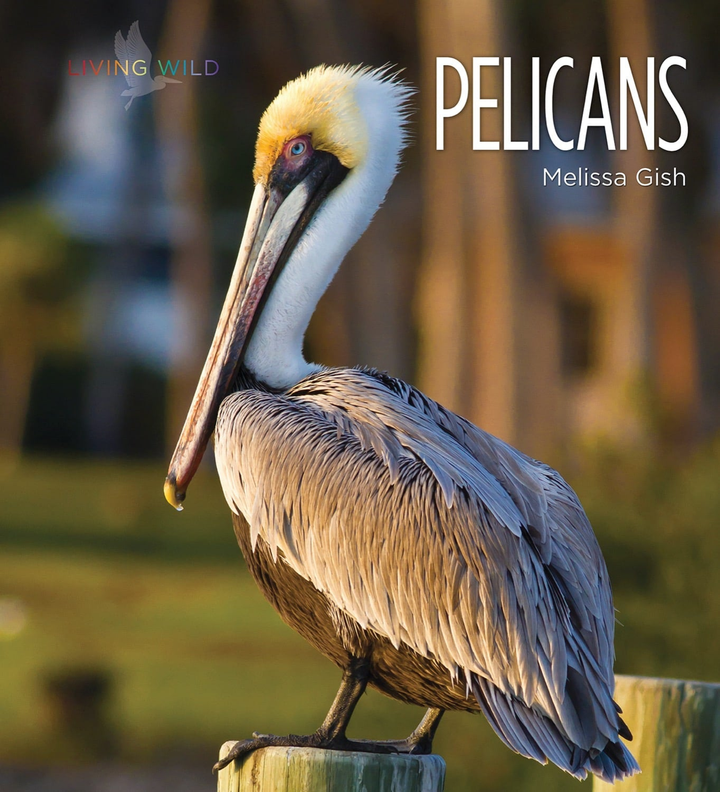 Living Wild Series Hardcover Living Wild: Pelicans