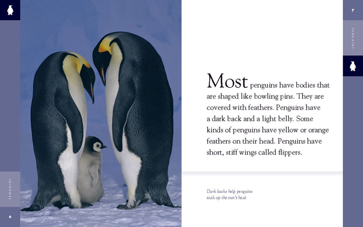 Amazing Animals - Classic Edition Series Hardcover Amazing Animals - Classic Edition: Penguins - 3