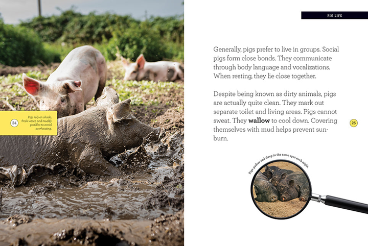 Grow with Me Series Hardcover Grow with Me: Pigs - 3