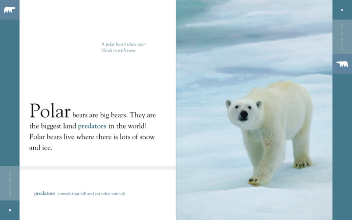 Amazing Animals - Classic Edition Series Hardcover Amazing Animals - Classic Edition: Polar Bears - 2