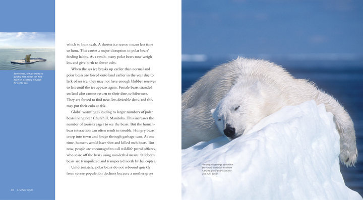 Living Wild Series Hardcover Living Wild: Polar Bears - 3