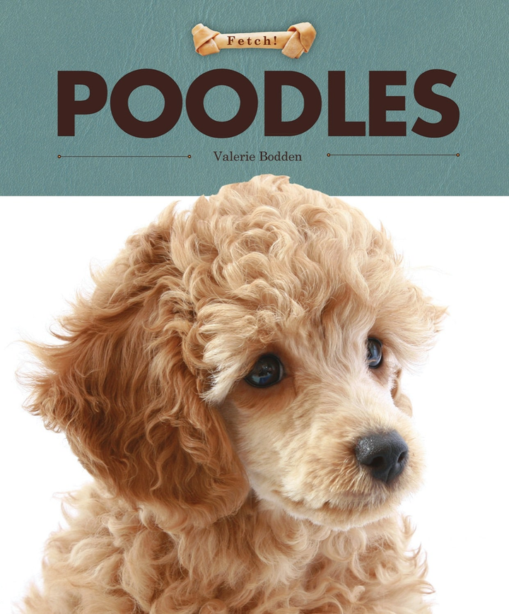 Fetch! Series Hardcover Fetch!: Poodles