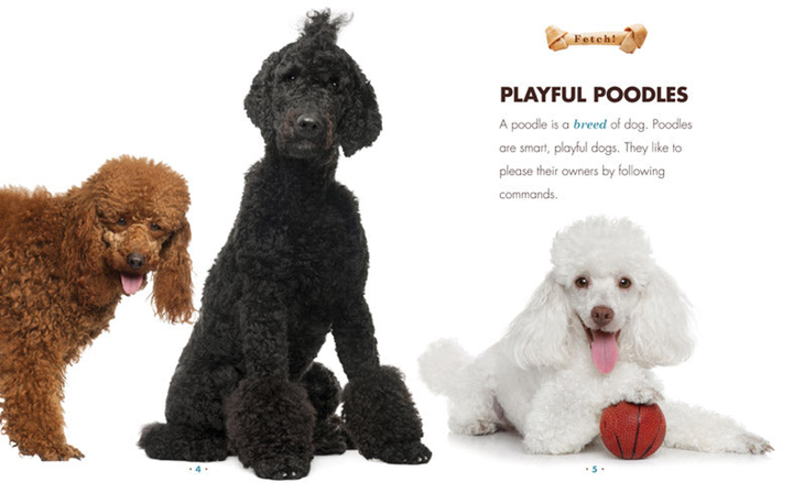 Fetch! Series Hardcover Fetch!: Poodles - 2