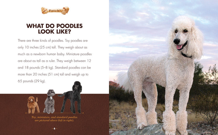 Fetch! Series Hardcover Fetch!: Poodles - 3