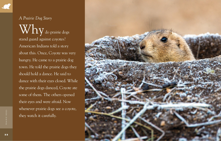 Amazing Animals - Classic Edition Series Hardcover Amazing Animals - Classic Edition: Prairie Dogs - 2