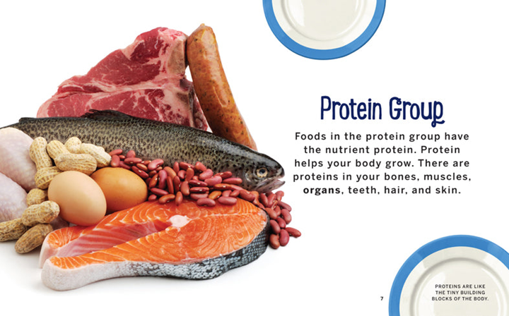 Healthy Plates Series Hardcover Healthy Plates: Proteins - 3