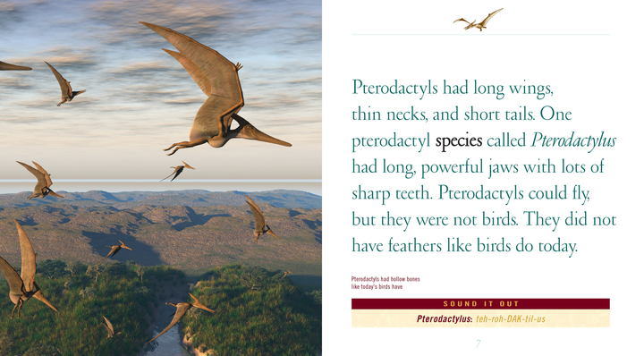 When Dinosaurs Lived Series Hardcover When Dinosaurs Lived: Pterodactyls - 2