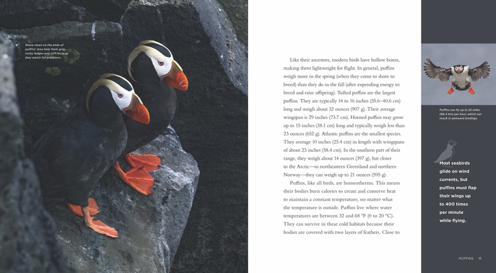 Living Wild Series Hardcover Living Wild: Puffins - 2