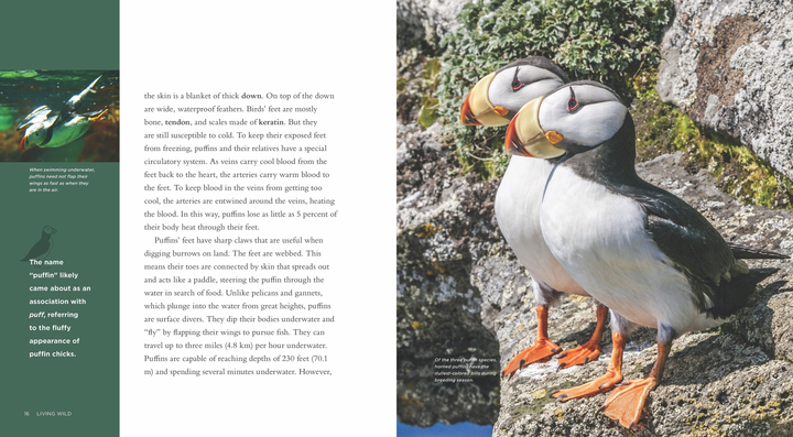 Living Wild Series Hardcover Living Wild: Puffins - 3