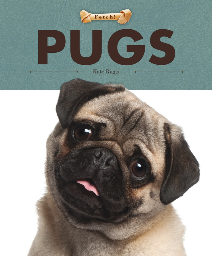 Fetch! Series Hardcover Fetch!: Pugs