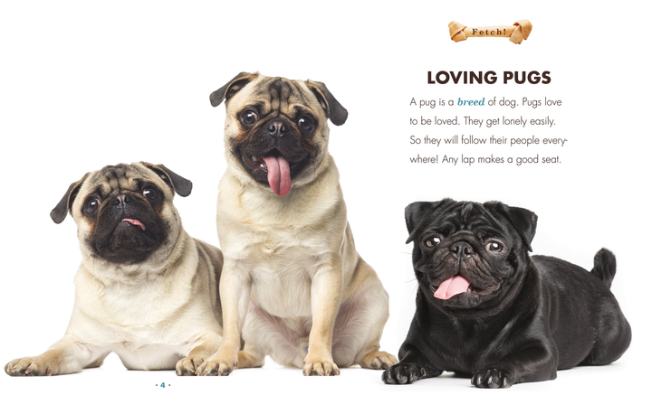 Fetch! Series Hardcover Fetch!: Pugs - 2