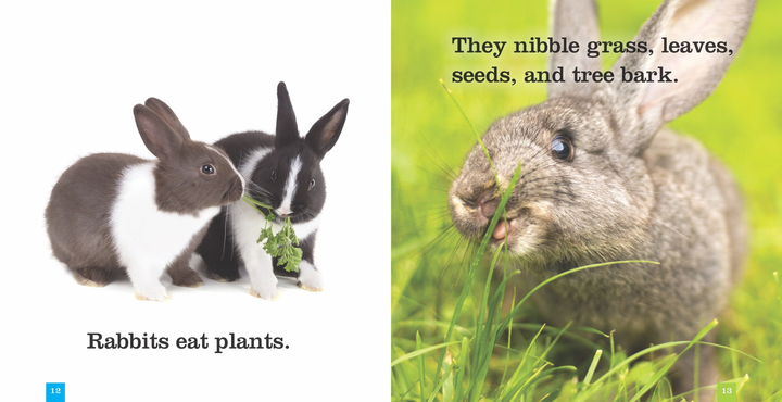 Seedlings Series Hardcover Seedlings: Rabbits - 3