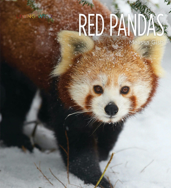 Living Wild Series Hardcover Living Wild: Red Pandas