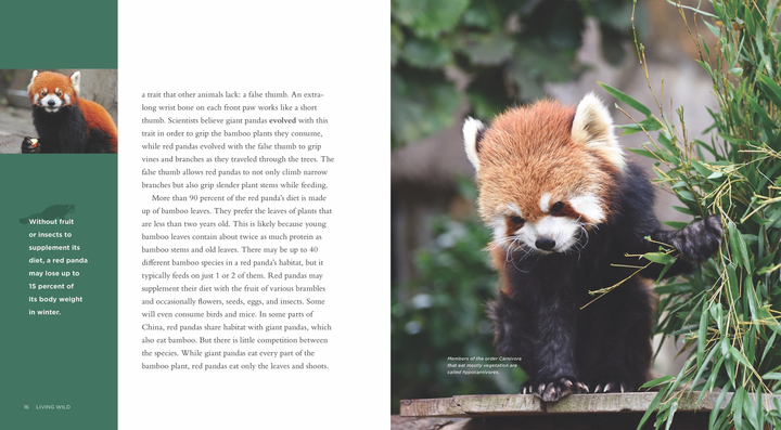 Living Wild Series Hardcover Living Wild: Red Pandas - 3