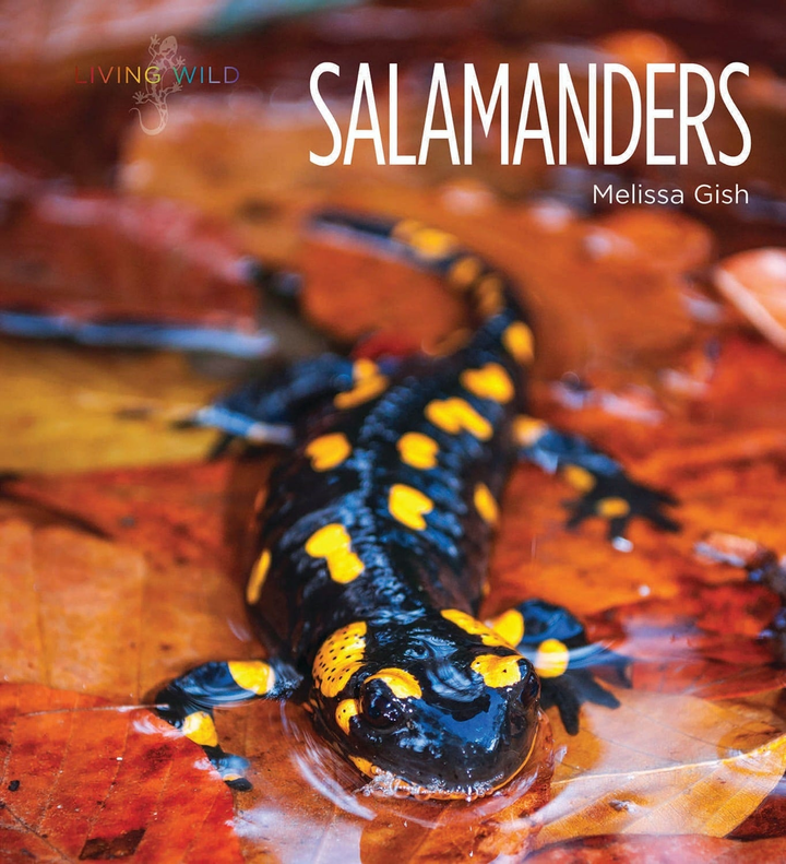 Living Wild Series Hardcover Living Wild: Salamanders