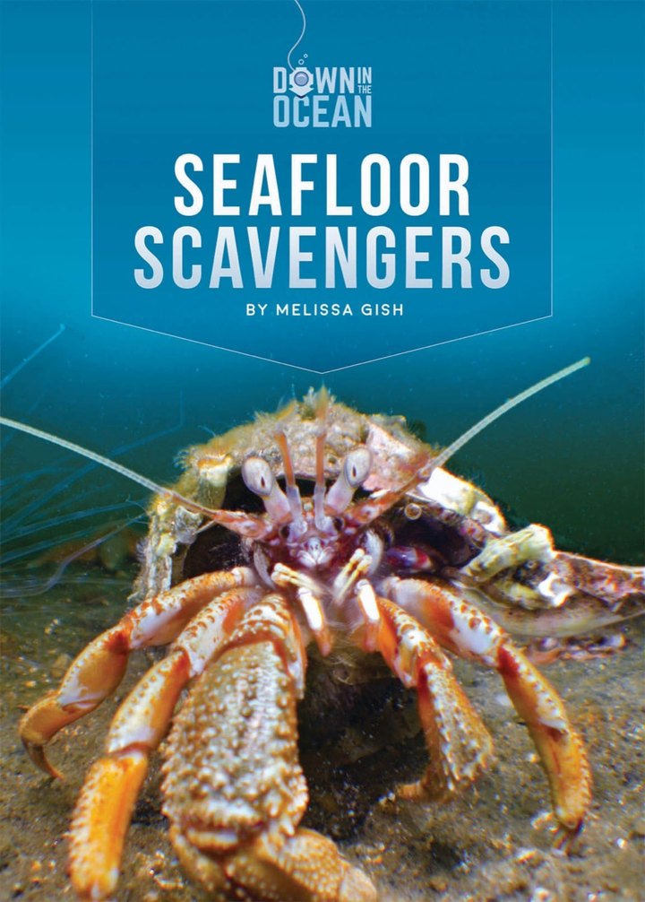 Down in the Ocean Series Hardcover Down in the Ocean: Seafloor Scavengers