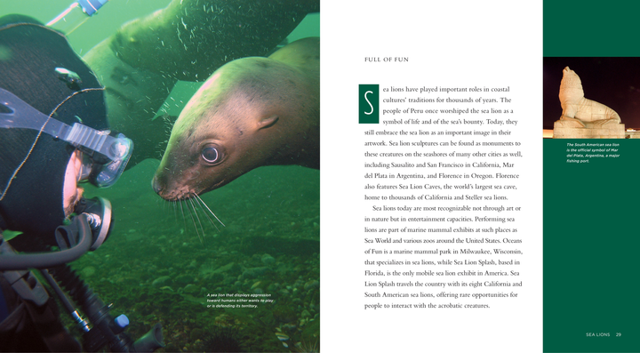 Living Wild Series Hardcover Living Wild: Sea Lions - 2