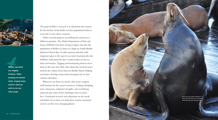 Living Wild Series Hardcover Living Wild: Sea Lions - 3