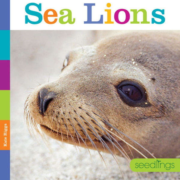 Seedlings Series Hardcover Seedlings: Sea Lions