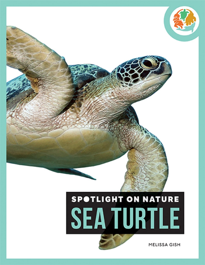 Spotlight on Nature Series Hardcover Spotlight on Nature: Sea Turtle