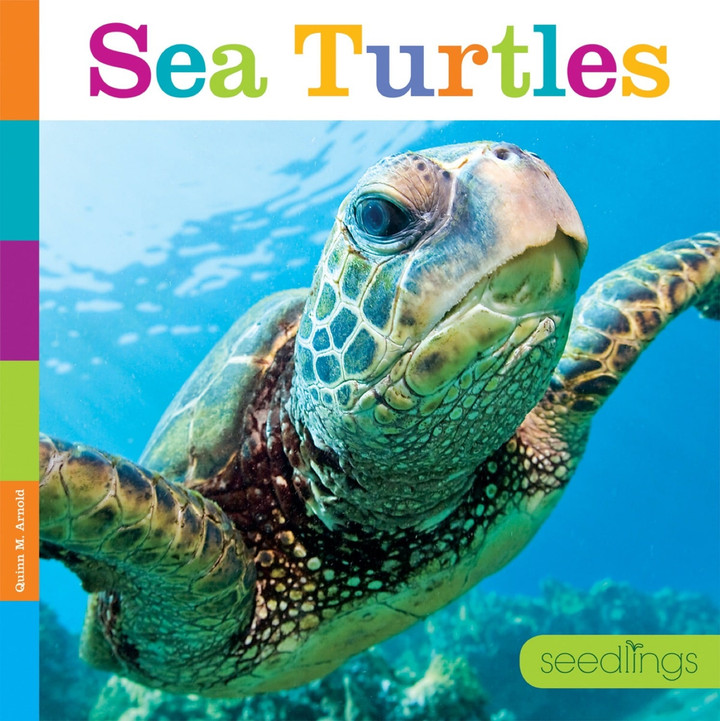 Seedlings Series Hardcover Seedlings: Sea Turtles